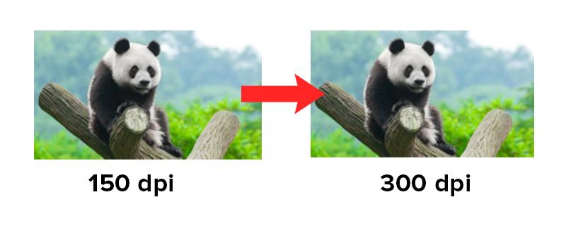 Safe Zone Guide