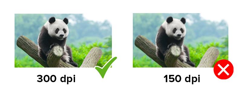 Safe Zone Guide